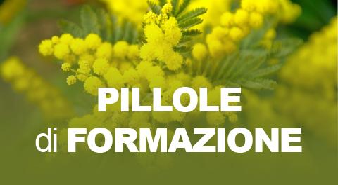 Pillole di Formazione